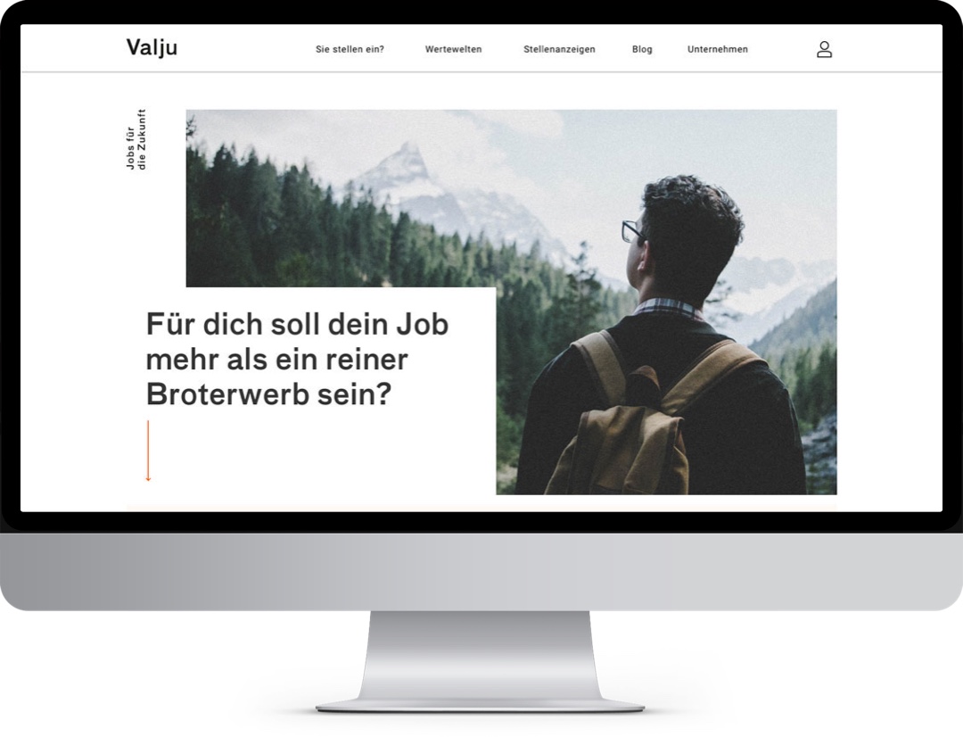 Landing page vlaju.de on iMac